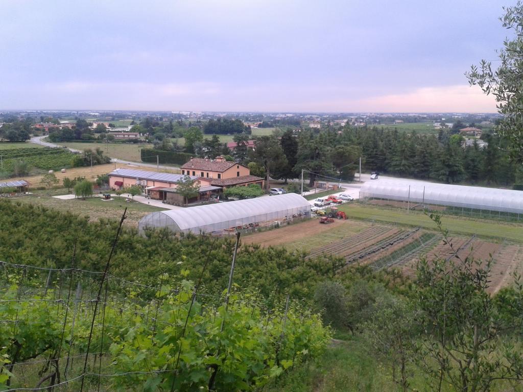 Agriturismo Perugini Bed and Breakfast Cesena Exterior foto